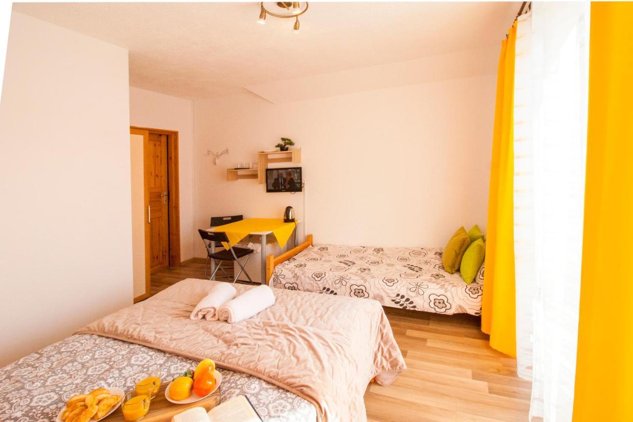 Polańczyk Bieszczadzki Brat Apartamenty מראה חיצוני תמונה